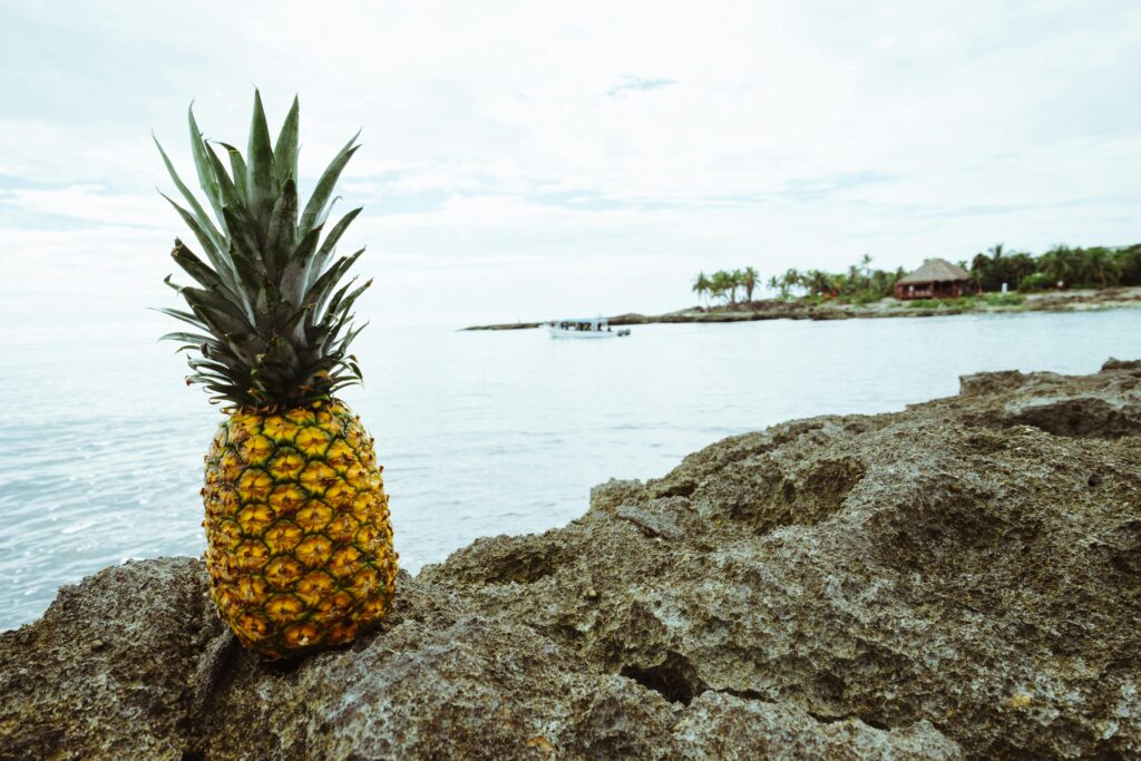 A pineapple on rocky shore with palm trees in the background by the sea.